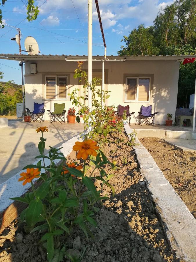 דלמן Alibaba Villa Near Airport And Beach מראה חיצוני תמונה