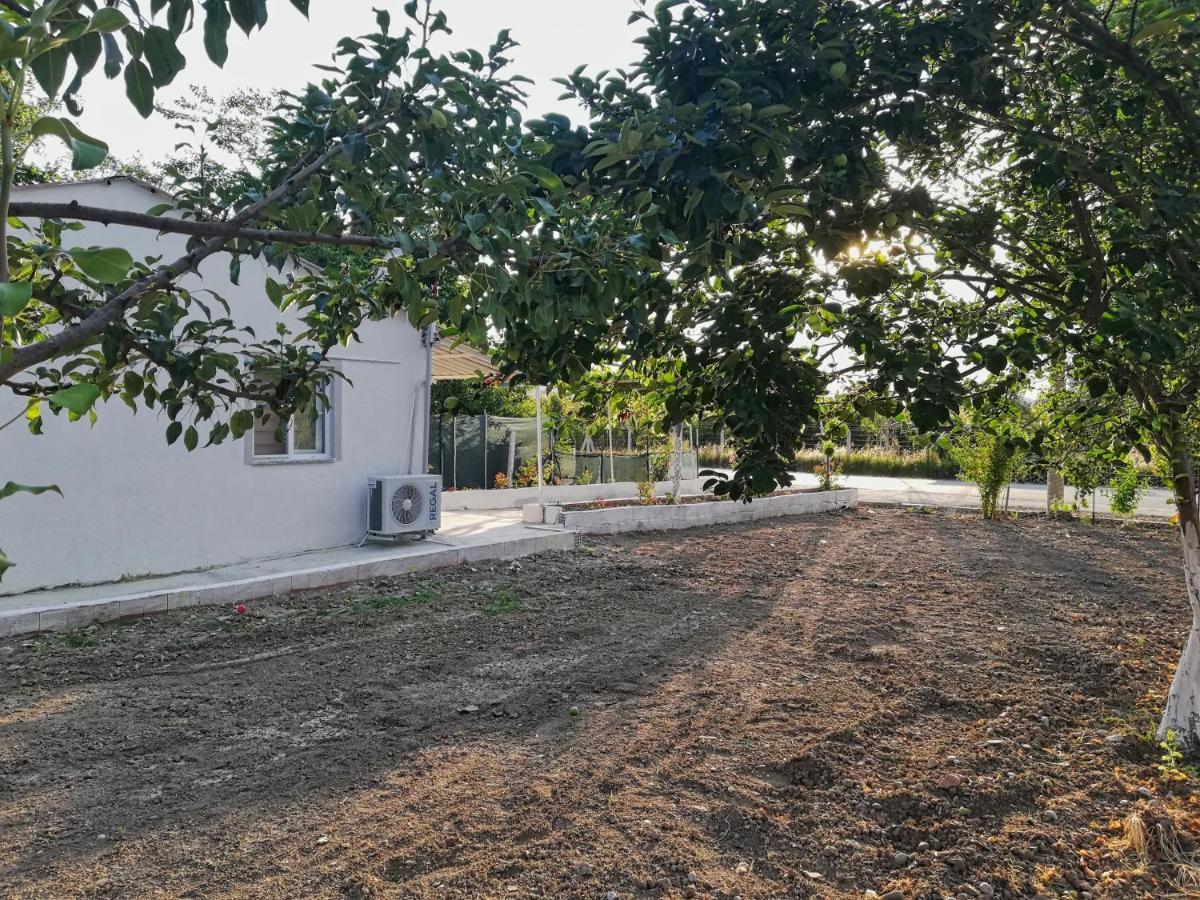 דלמן Alibaba Villa Near Airport And Beach מראה חיצוני תמונה