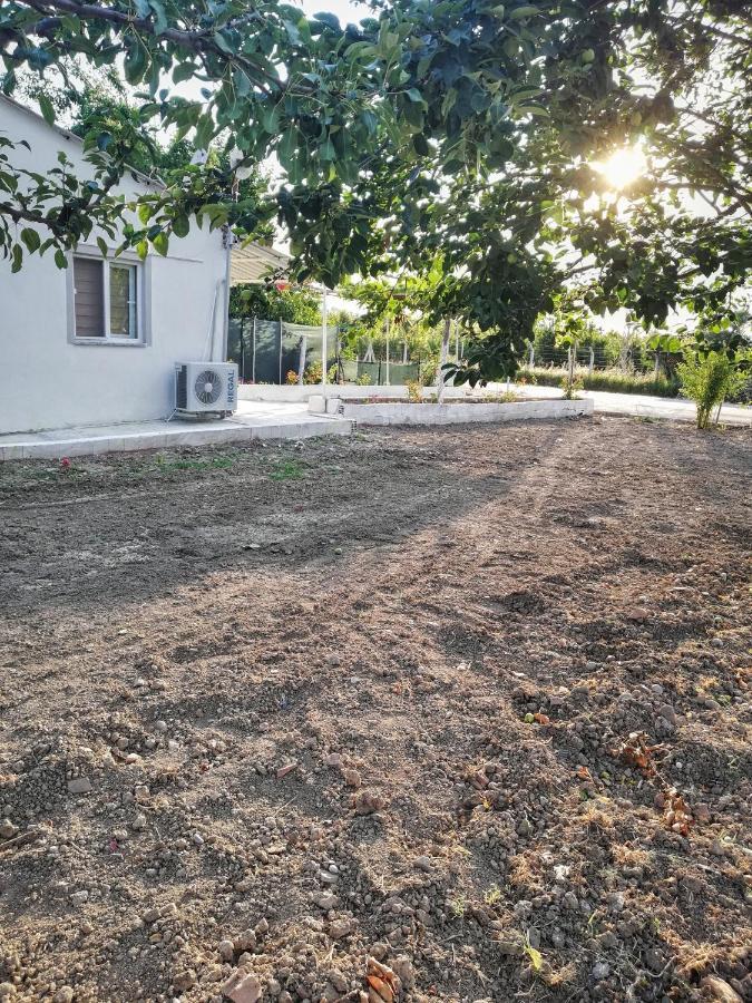 דלמן Alibaba Villa Near Airport And Beach מראה חיצוני תמונה