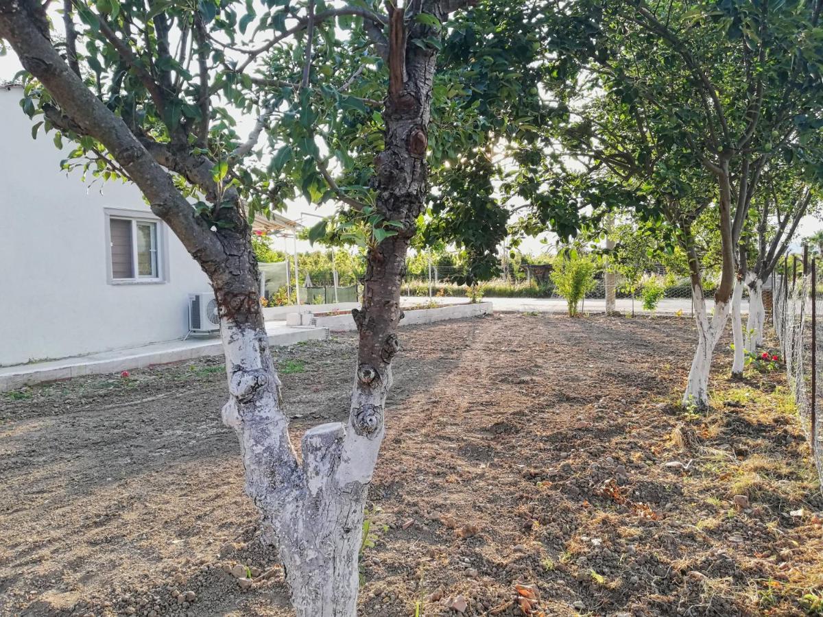 דלמן Alibaba Villa Near Airport And Beach מראה חיצוני תמונה