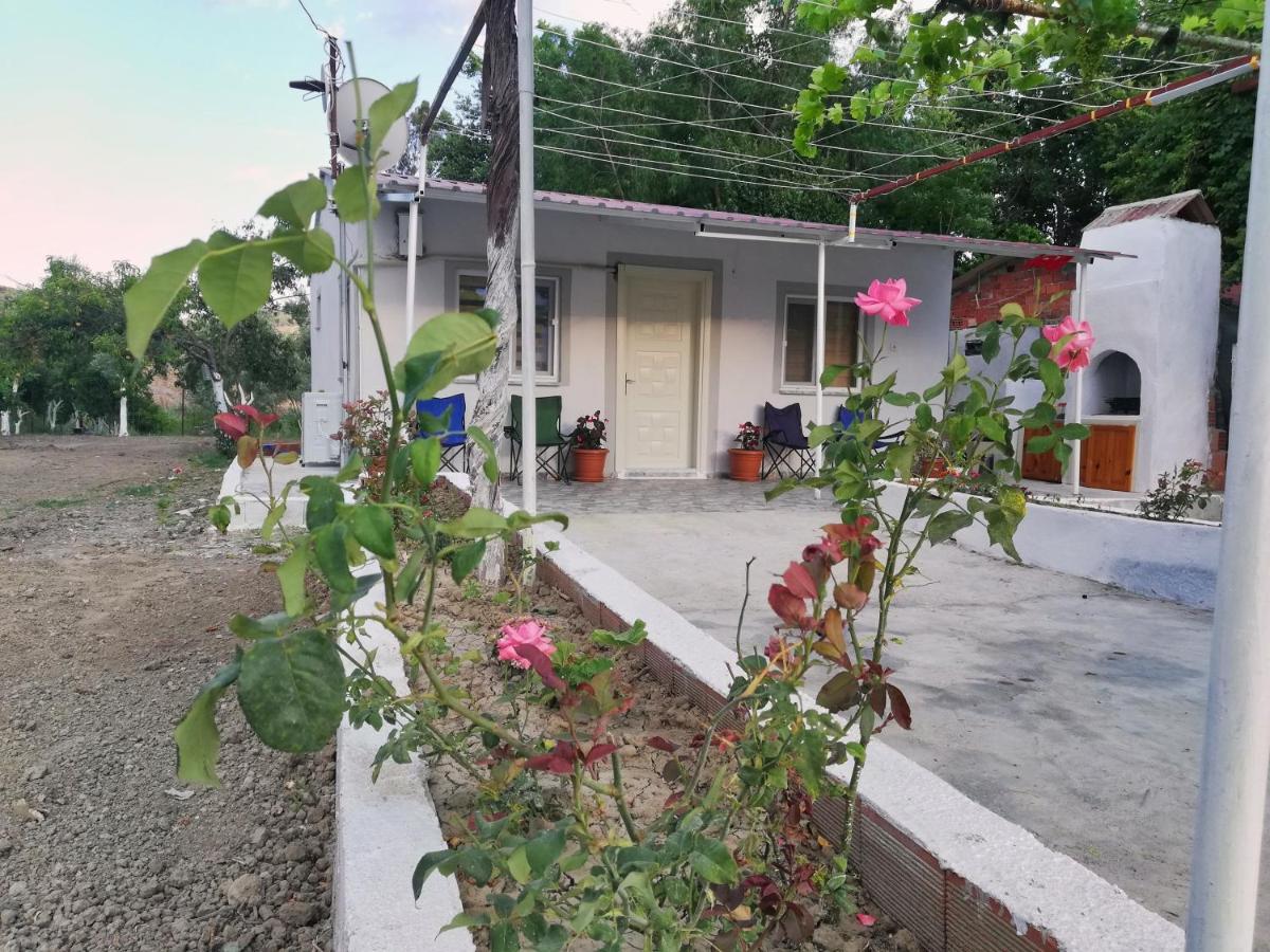 דלמן Alibaba Villa Near Airport And Beach מראה חיצוני תמונה