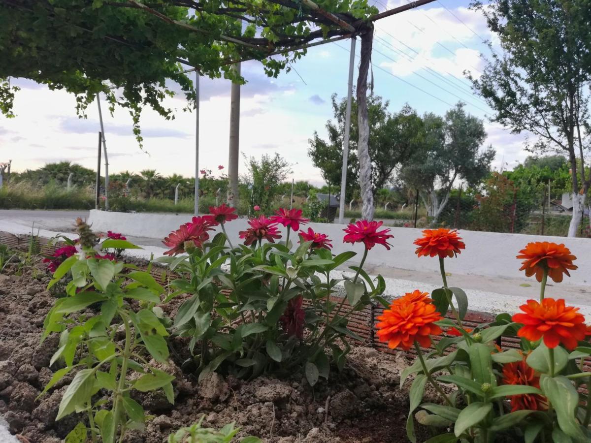 דלמן Alibaba Villa Near Airport And Beach מראה חיצוני תמונה