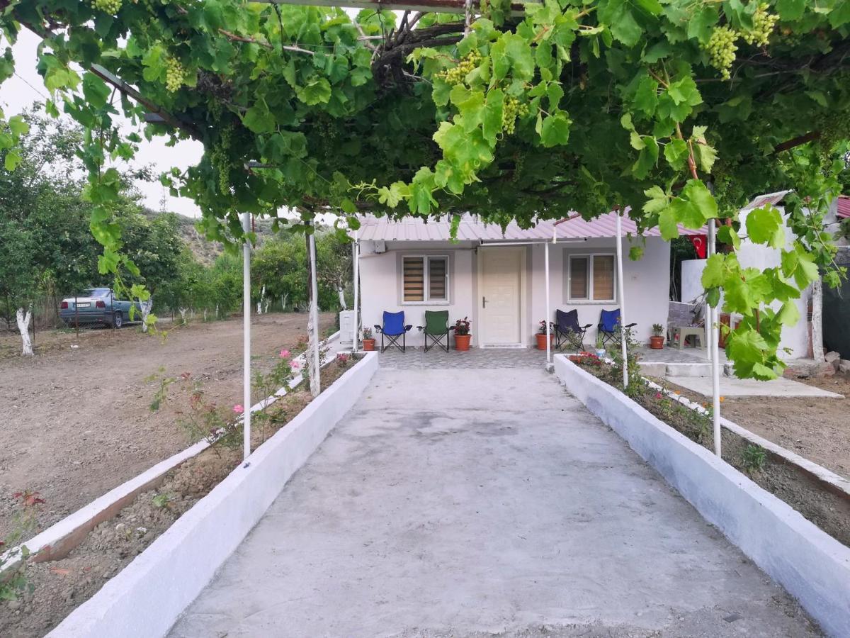 דלמן Alibaba Villa Near Airport And Beach מראה חיצוני תמונה