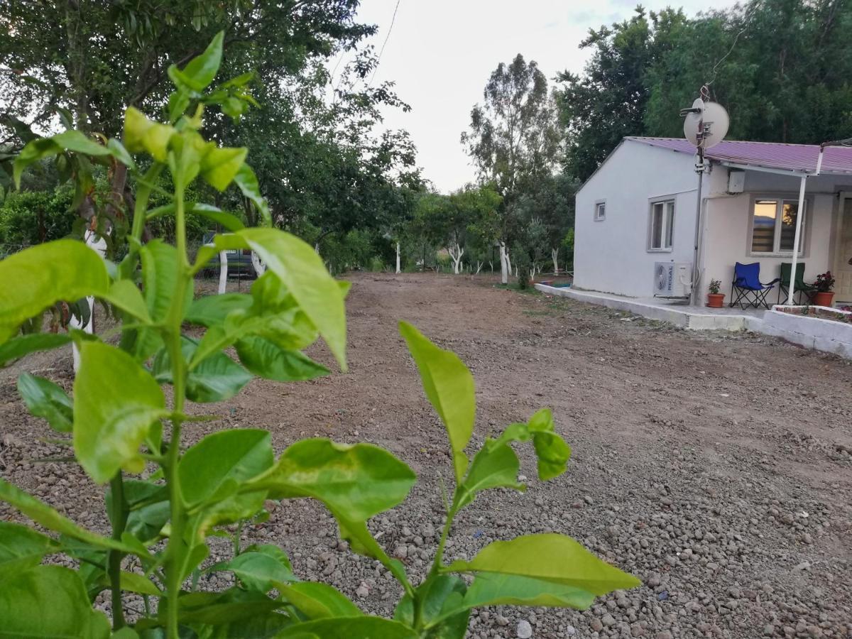 דלמן Alibaba Villa Near Airport And Beach מראה חיצוני תמונה